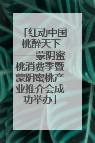 红动中国 桃醉天下——蒙阴蜜桃消费季暨蒙阴蜜桃产业推介会成功举办