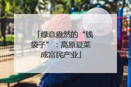 绿意盎然的“钱袋子”：高原夏菜成富民产业