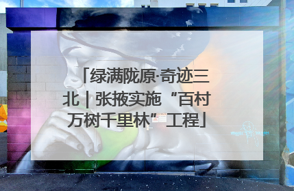 绿满陇原·奇迹三北｜张掖实施“百村万树千里林”工程