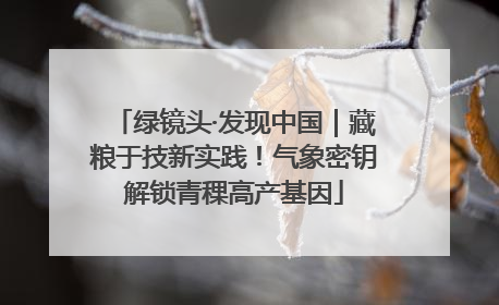 绿镜头·发现中国｜藏粮于技新实践！气象密钥解锁青稞高产基因