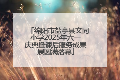 绵阳市盐亭县文同小学2025年六一庆典暨课后服务成果展圆满落幕
