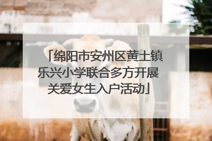 绵阳市安州区黄土镇乐兴小学联合多方开展关爱女生入户活动