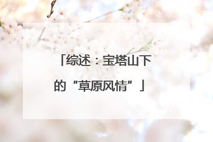 综述：宝塔山下的“草原风情”