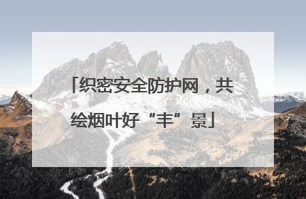 织密安全防护网，共绘烟叶好“丰”景