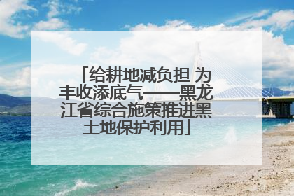给耕地减负担 为丰收添底气——黑龙江省综合施策推进黑土地保护利用
