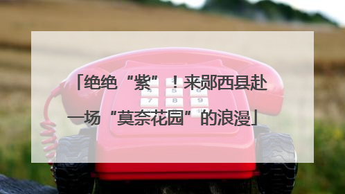 绝绝“紫”！来郧西县赴一场“莫奈花园”的浪漫