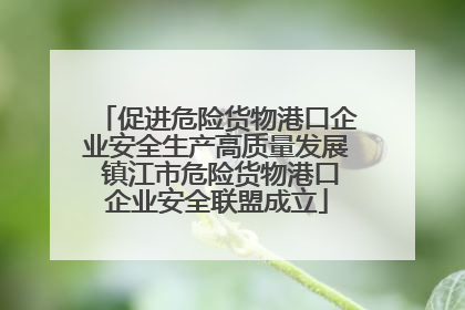 促进危险货物港口企业安全生产高质量发展 镇江市危险货物港口企业安全联盟成立