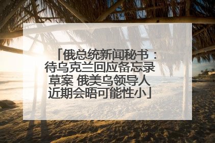 俄总统新闻秘书：待乌克兰回应备忘录草案 俄美乌领导人近期会晤可能性小