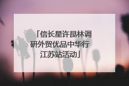 信长星许昆林调研外贸优品中华行江苏站活动