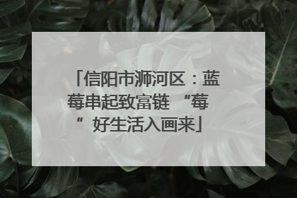 信阳市浉河区：蓝莓串起致富链 “莓”好生活入画来