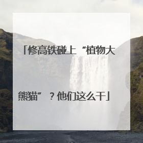 修高铁碰上“植物大熊猫”？他们这么干