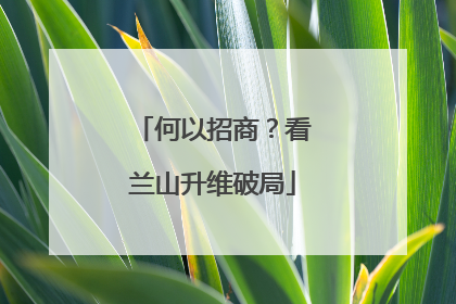 何以招商？看兰山升维破局