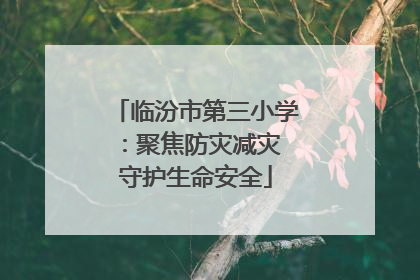 临汾市第三小学：聚焦防灾减灾 守护生命安全