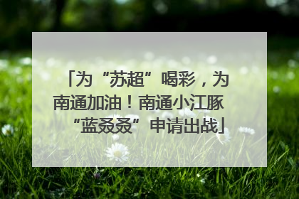 为“苏超”喝彩，为南通加油！南通小江豚“蓝叒叒”申请出战