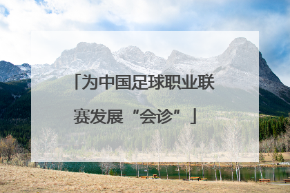 为中国足球职业联赛发展“会诊”
