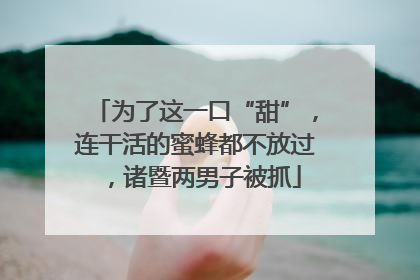 为了这一口“甜”，连干活的蜜蜂都不放过，诸暨两男子被抓