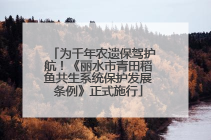 为千年农遗保驾护航！《丽水市青田稻鱼共生系统保护发展条例》正式施行