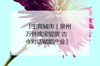 主宾城市｜泉州万件瑰宝绽放 古今对话赋能产业