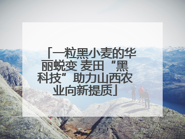 一粒黑小麦的华丽蜕变 麦田“黑科技”助力山西农业向新提质