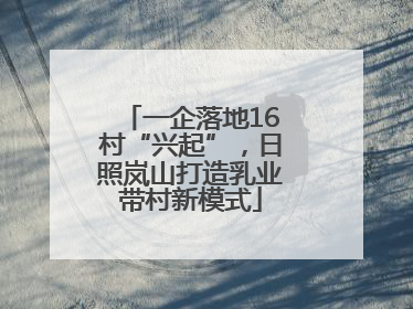 一企落地16村“兴起”，日照岚山打造乳业带村新模式