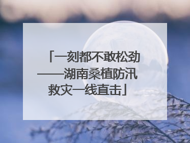 一刻都不敢松劲——湖南桑植防汛救灾一线直击