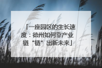 一座园区的生长速度：德州如何靠产业链“链”出新未来