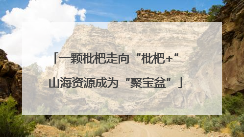 一颗枇杷走向“枇杷+” 山海资源成为“聚宝盆”