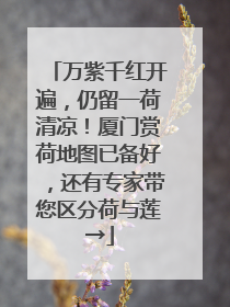万紫千红开遍，仍留一荷清凉！厦门赏荷地图已备好，还有专家带您区分荷与莲→