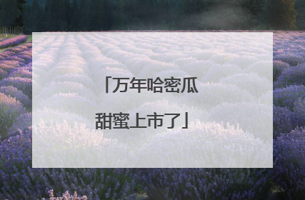 万年哈密瓜甜蜜上市了