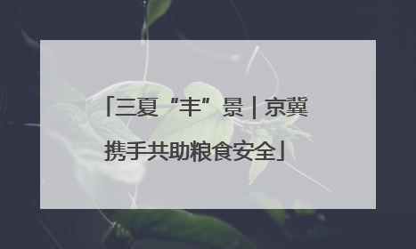 三夏“丰”景｜京冀携手共助粮食安全