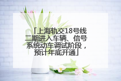 上海轨交18号线二期进入车辆、信号系统动车调试阶段，预计年底开通