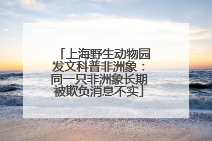上海野生动物园发文科普非洲象：同一只非洲象长期被欺负消息不实