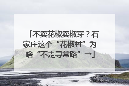 不卖花椒卖椒芽？石家庄这个“花椒村”为啥“不走寻常路”→