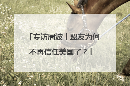 专访周波丨盟友为何不再信任美国了？