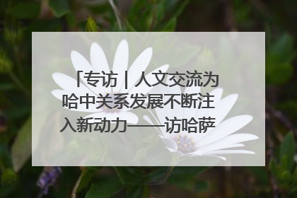 专访｜人文交流为哈中关系发展不断注入新动力——访哈萨克斯坦文化与信息部部长巴拉耶娃