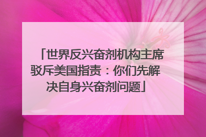 世界反兴奋剂机构主席驳斥美国指责：你们先解决自身兴奋剂问题