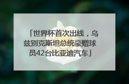 世界杯首次出线，乌兹别克斯坦总统豪赠球员42台比亚迪汽车