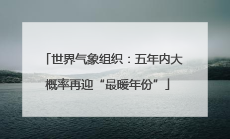 世界气象组织：五年内大概率再迎“最暖年份”