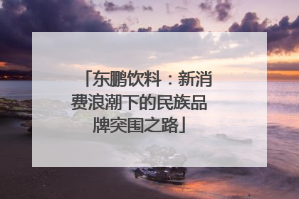 东鹏饮料：新消费浪潮下的民族品牌突围之路