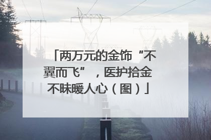 两万元的金饰“不翼而飞”，医护拾金不昧暖人心（图）