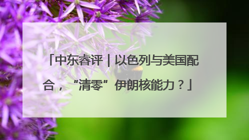 中东睿评｜以色列与美国配合，“清零”伊朗核能力？