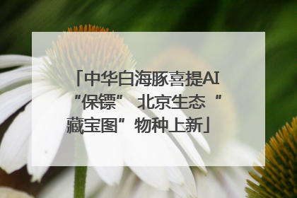 中华白海豚喜提AI“保镖” 北京生态“藏宝图”物种上新