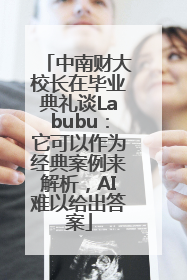 中南财大校长在毕业典礼谈Labubu：它可以作为经典案例来解析，AI难以给出答案