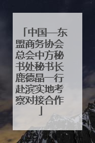 中国—东盟商务协会总会中方秘书处秘书长鹿德晶一行赴滨实地考察对接合作
