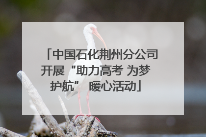 中国石化荆州分公司开展“助力高考 为梦护航” 暖心活动