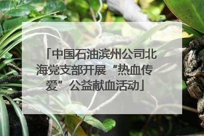 中国石油滨州公司北海党支部开展“热血传爱”公益献血活动