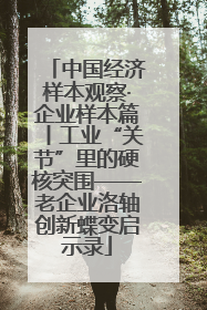 中国经济样本观察·企业样本篇丨工业“关节”里的硬核突围——老企业洛轴创新蝶变启示录