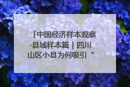 中国经济样本观察·县域样本篇｜四川山区小县为何吸引“村播”扎堆？