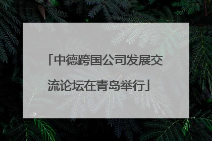 中德跨国公司发展交流论坛在青岛举行