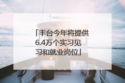 丰台今年将提供6.4万个实习见习和就业岗位